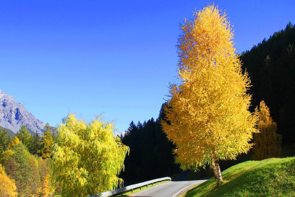 Residence Raethia Tra Bormio E Livigno Pradelle ภายนอก รูปภาพ